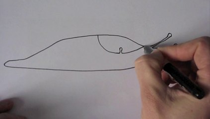 Jardinage: comment lutter sans pesticides contre limaces et escargots?