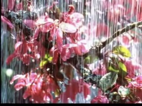 dini islami düğün nişan sünnet organizasyonu HİDAYET DOĞAN- AMELDİR AHİRETTE LAZIM OLAN