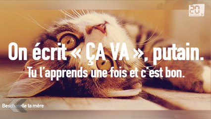 Orthographe: Dites-le avec des chatons