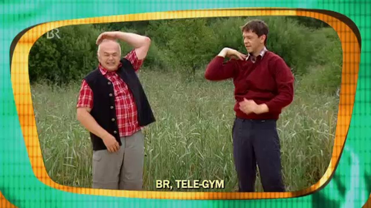 Tele-gym 2014 vs. naddel: einseifen für profis