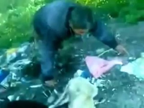 В Азербайджане появились жестокие живодеры