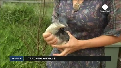 Des méthodes alternatives pour surveiller les animaux