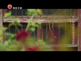 20140505 真相 20140505