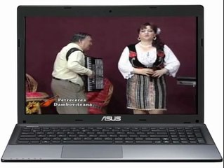 PROFESIONAL LA PETRECERE DÂMBOVIȚEANĂ-COLAJ