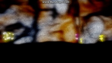 Wonderer The Game - AI Events