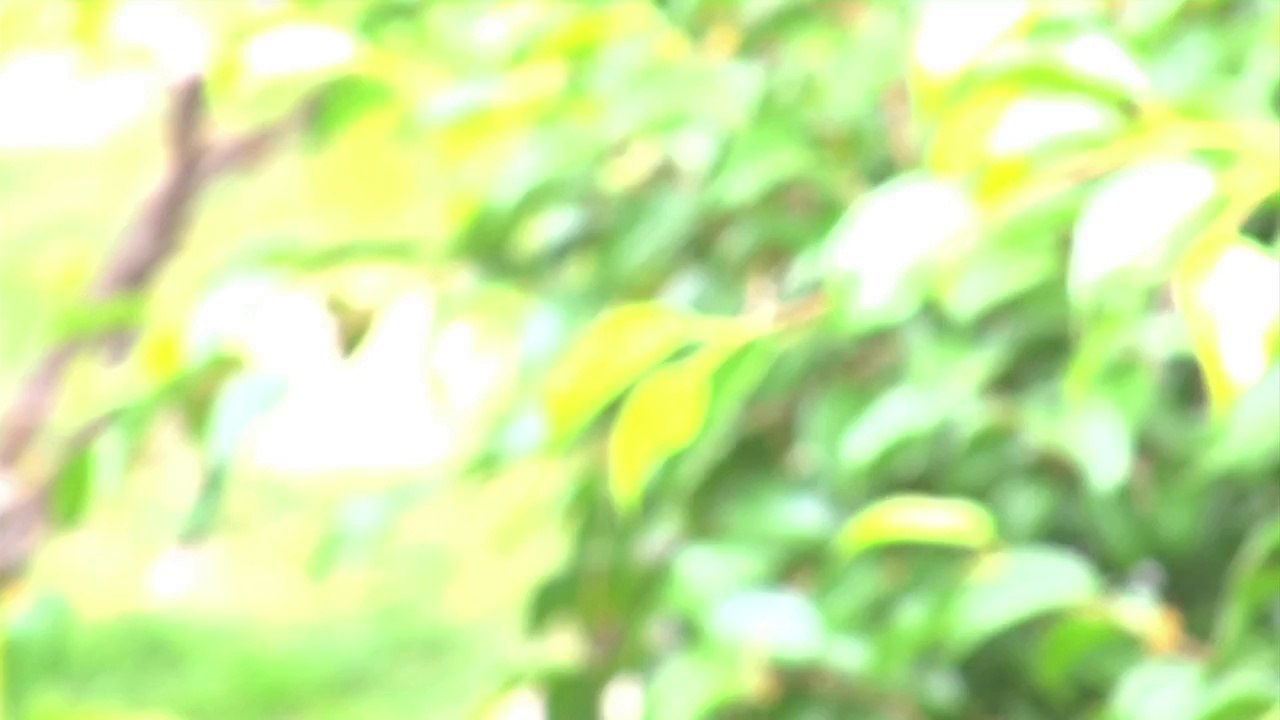 Delivery: The Beast Within - Clip: Devil