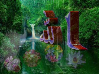 Salou 3la habibi MOHAMED