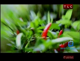 Nigel Slater's Simple Cooking 6th May 2014 Video Watch Online