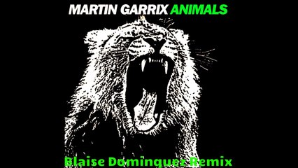 Martin Garrix - Animals (Blaise Dominquez Remix)