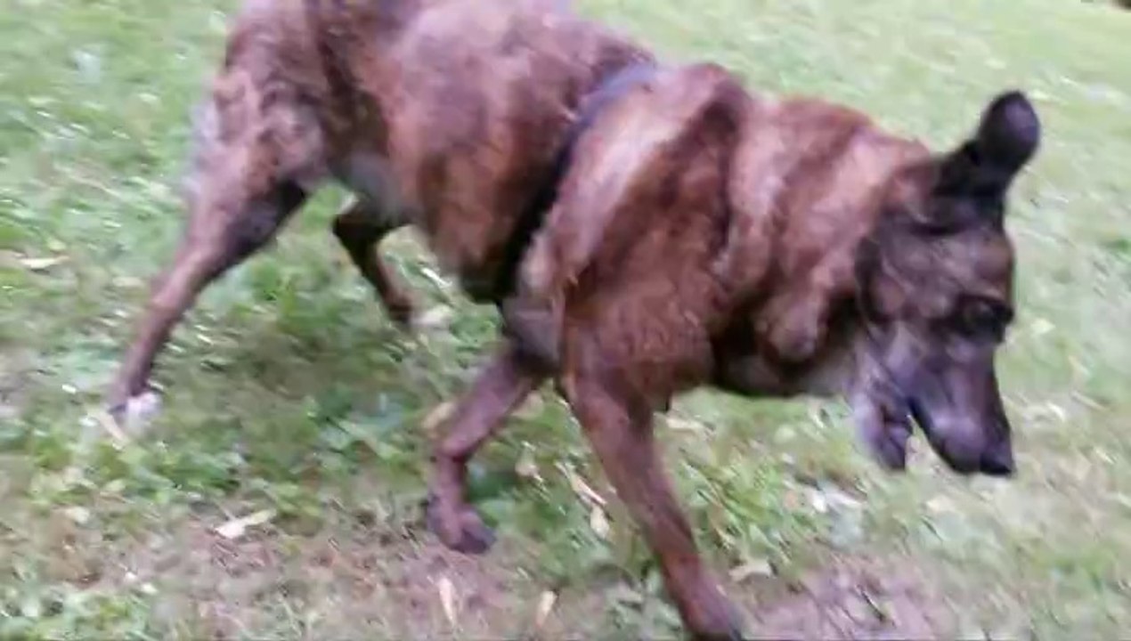 007 siebter Tag mit Vestibular ---- 05.05.14.--- .High Noon