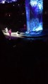 Crazy circus accident during Ringling brothers performance!
