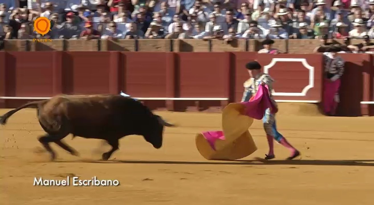 Escribano da la vuelta al ruedo. Corrida del 5 de mayo en la Maestranza
