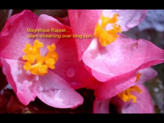 Magnifique Rappel islam-streaming.over-blog