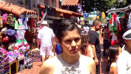 Cinco de Mayo celebration in Los Angeles, 2014