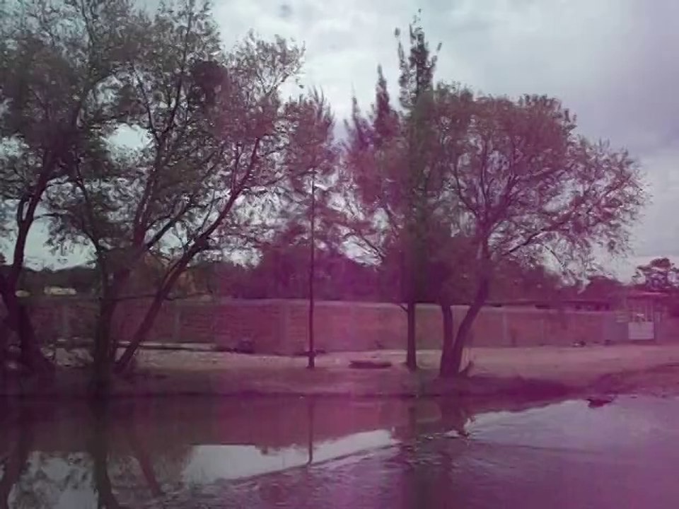 camilno lo de Sierra municipio de Irapuato Guanajuato,canal