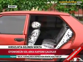 Tofaşın Sadece Sol Arka Kapısını Götüren Hırsızlar