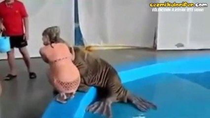 Deniz Aygırının Sen Git Sıradaki Gelsin Hareketi