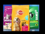 Pet Food Email Submit _ Pet Food Online _ Free Pet Food Coupons
