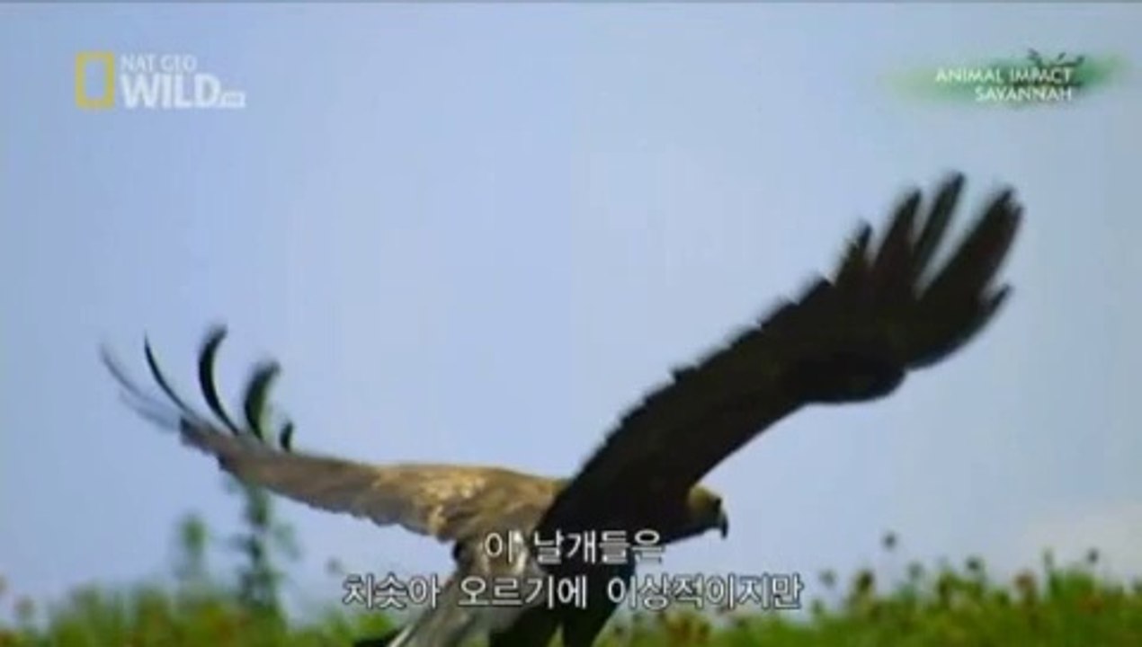 인터넷바카라✿♓♓✿♡＊★ KDMA77.COM ★＊♡✿♓♓✿인터넷바카라