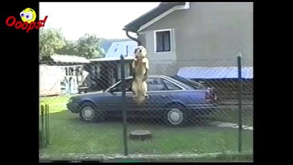 Pranks - Gags - Win - Fail.107