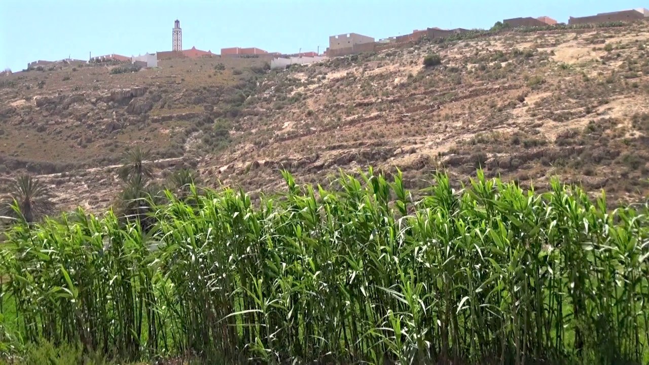 FROMITAL - AGADIR, MAROC (VERSION COURTE)