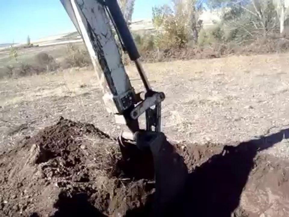 CEVİZ FİDANI DİKİMİ 2