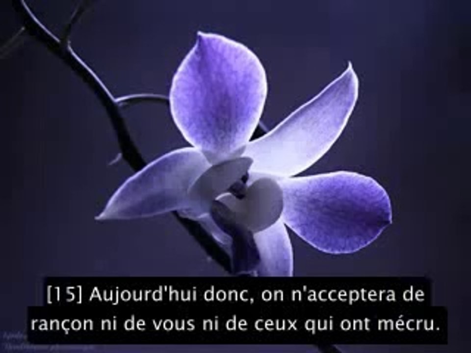 La meilleure récitation du saint Coran que vous allez écouter; Amazing recitation of the Holy Quran