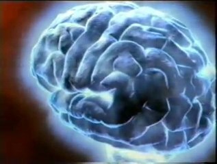 Cerebro y aprendizaje: Potenciacion a largo plazo (PLP)