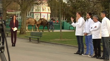 Qui sera le prochain grand pâtissier? Interview Virginie Guilhaume