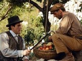 Trop beau pour Jean de Florette - Daniel Auteuil