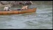 2 Dogs Stranded In A Boat, You Won’t Believe Who Rescued Them