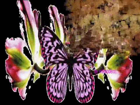 Nefretimsin ( Git Sen Yoluna )⊰♥⊱GüLbiye♥Orhan⊰♥⊱