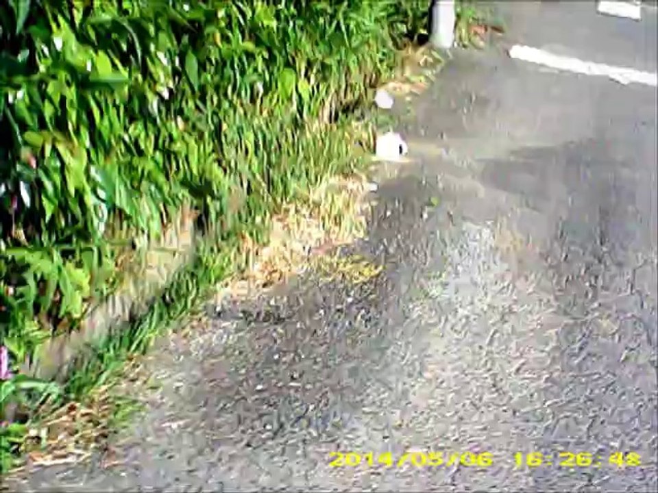 バイクでツーリング動画　糸島市
