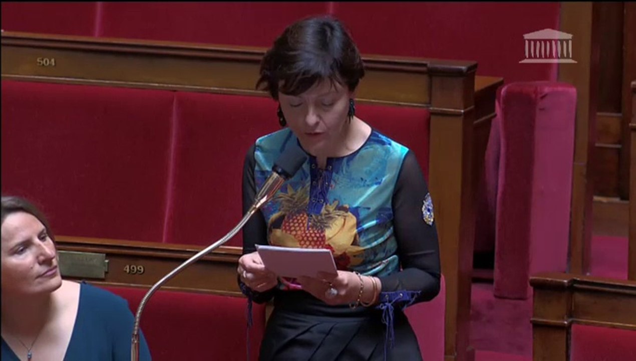 Hôpital de Saint-Gaudens : Carole Delga interroge la Ministre