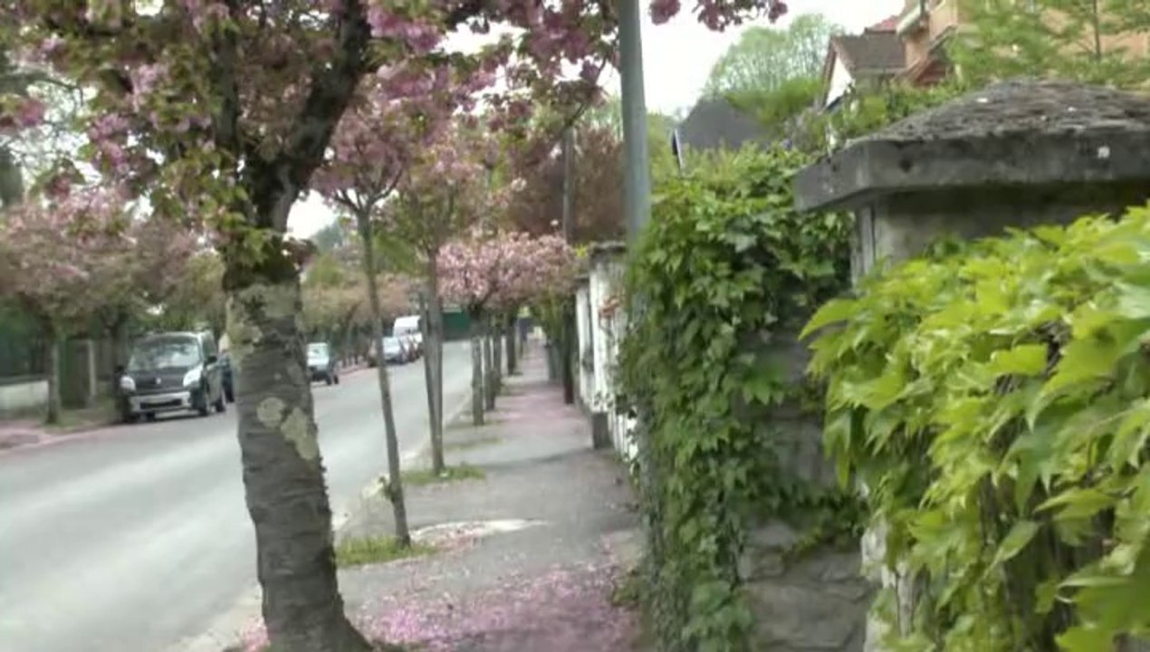 LES  W-D.D. MICHOU SATURDAY NEWS - 12 AVRIL 2014 - NOTRE PROMENADE DOMINICALE AUTOUR DU STADE NAUTIQUE.