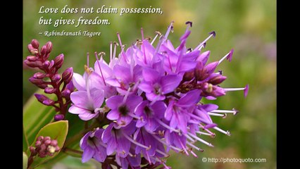 Rabindranath Tagore, Indian Poet