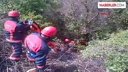 3. Köprüyü İzlerken Uçuruma Düştü