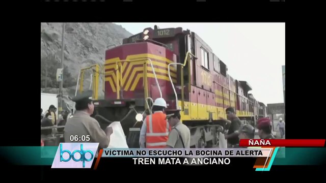 Anciano falleció tras ser arrollado por tren en la Carretera Central