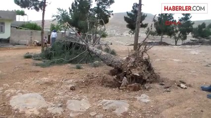 Hazine Arazisindeki Gecekondu Yıkıldı