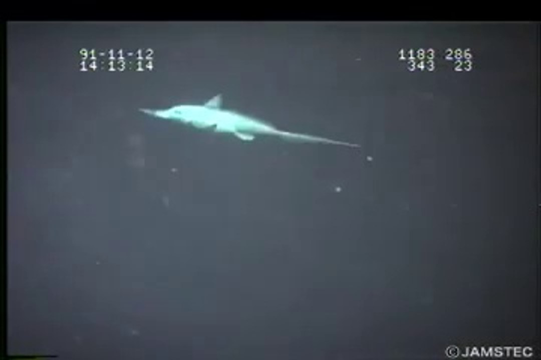 Poisson Alien