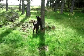 Cuetsche Vidéo0047