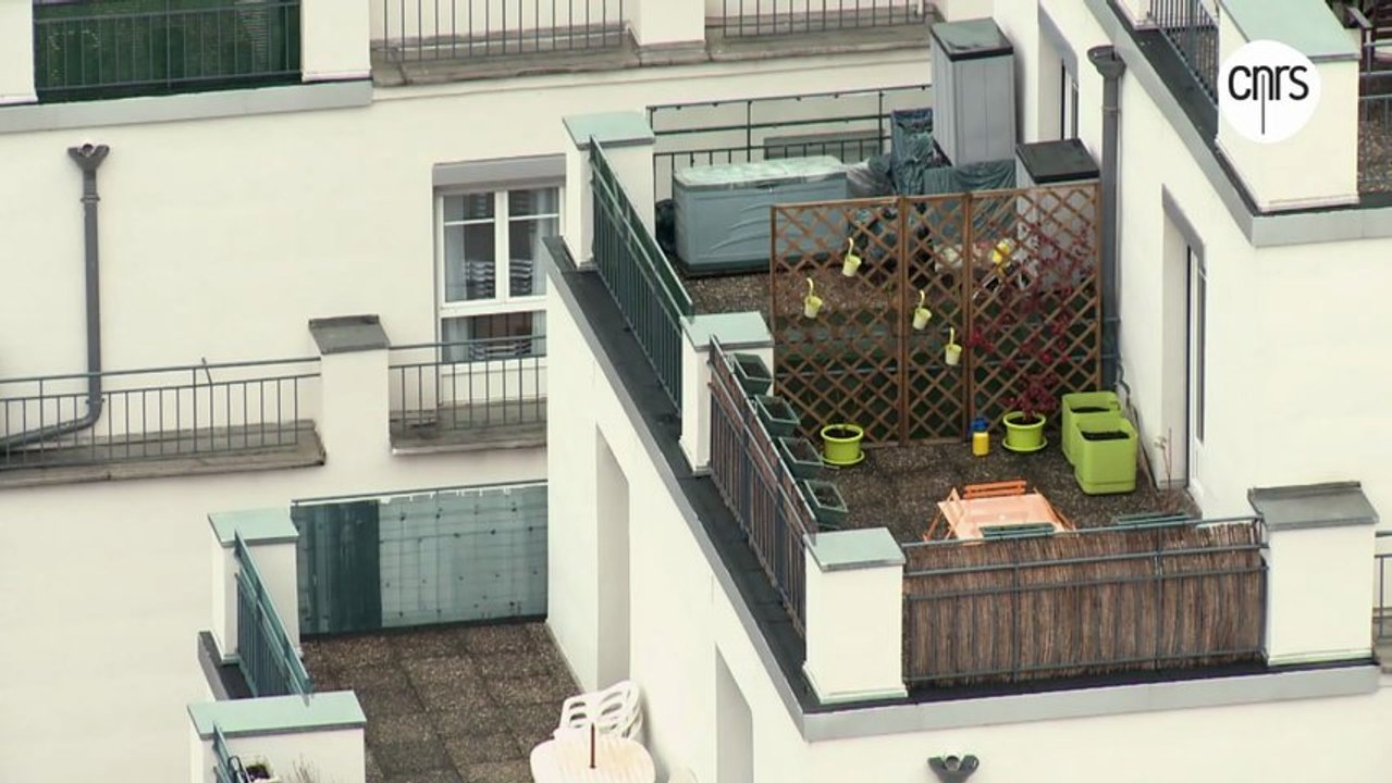 Les étonnants gratte-ciel de Villeurbanne