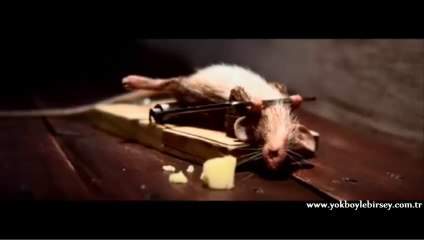 Seni Öldürmeyen Şey Güçlendirir!