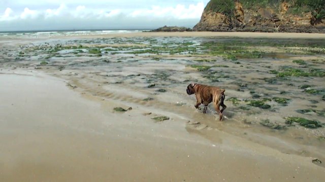 Avant goût d'été près de Douarnenez plage du RIS!
