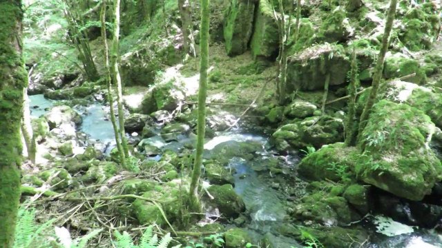 Saint Mesmin, dans le Périgord vert