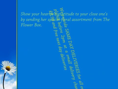 Buy Fresh Flowers from Leading Florist in UK