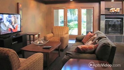 Sun Creek Apartments in Glendale, AZ - ForRent.com