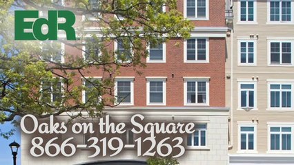 The Oaks on the Square Apartments in Storrs, CT - ForRent.com