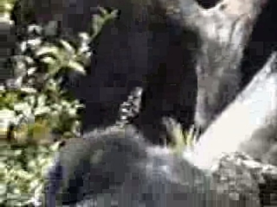 Ca sens tellement Mauvais