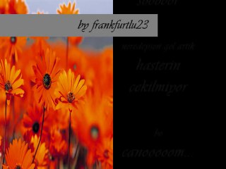 ~~ÜNZiLE-DAGLARA SOR~~